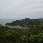 Muir Beach can be seen in the distance from the Coastal Trail