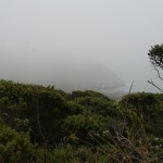 Even when foggy, the coastal view has an eerie beauty