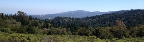 View from The Meadows