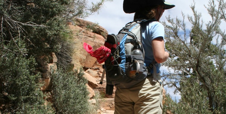 A hiker