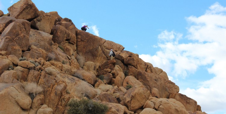 Rock scramble