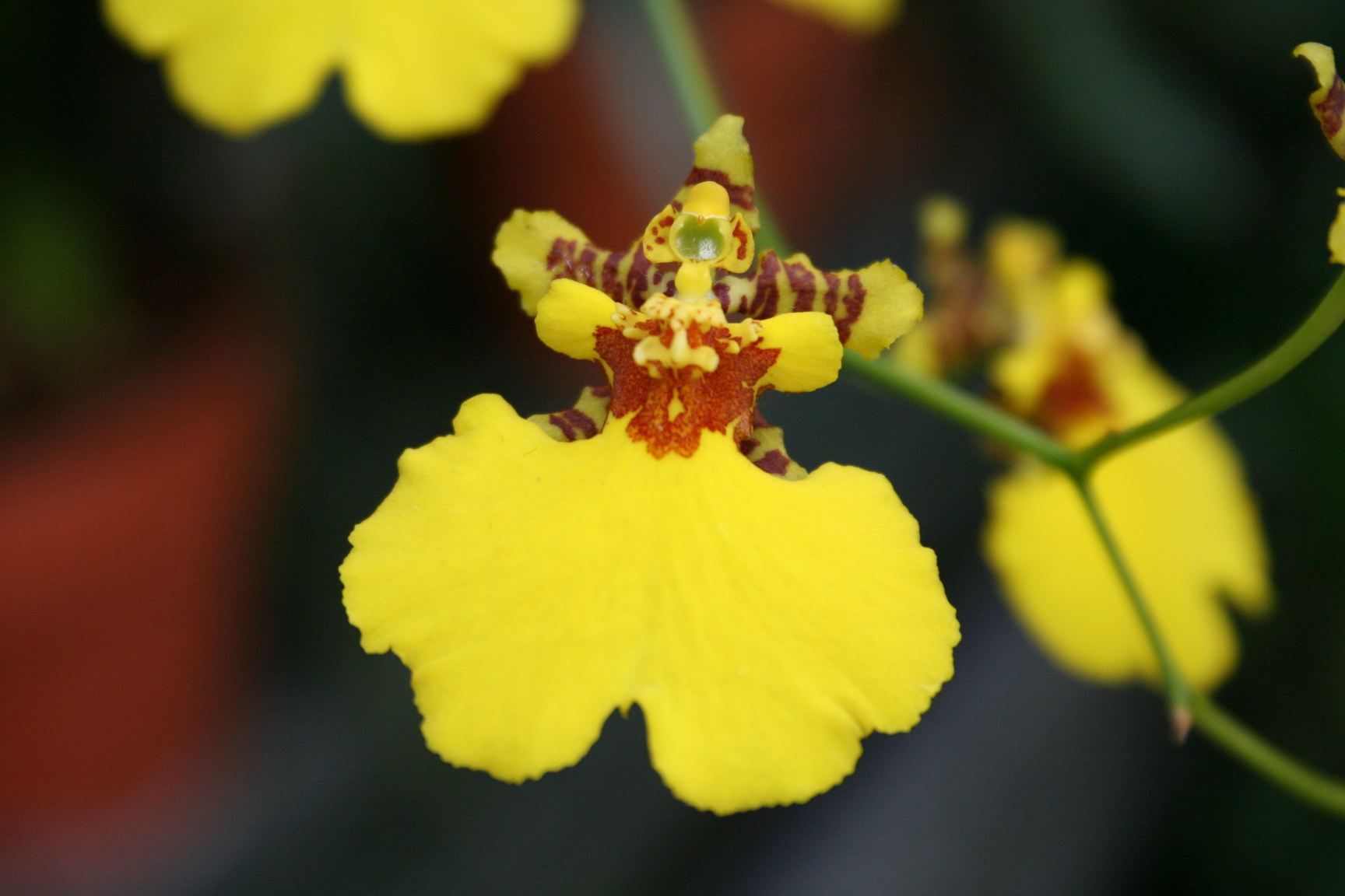 Saturday’s hike: Gerbode Valley