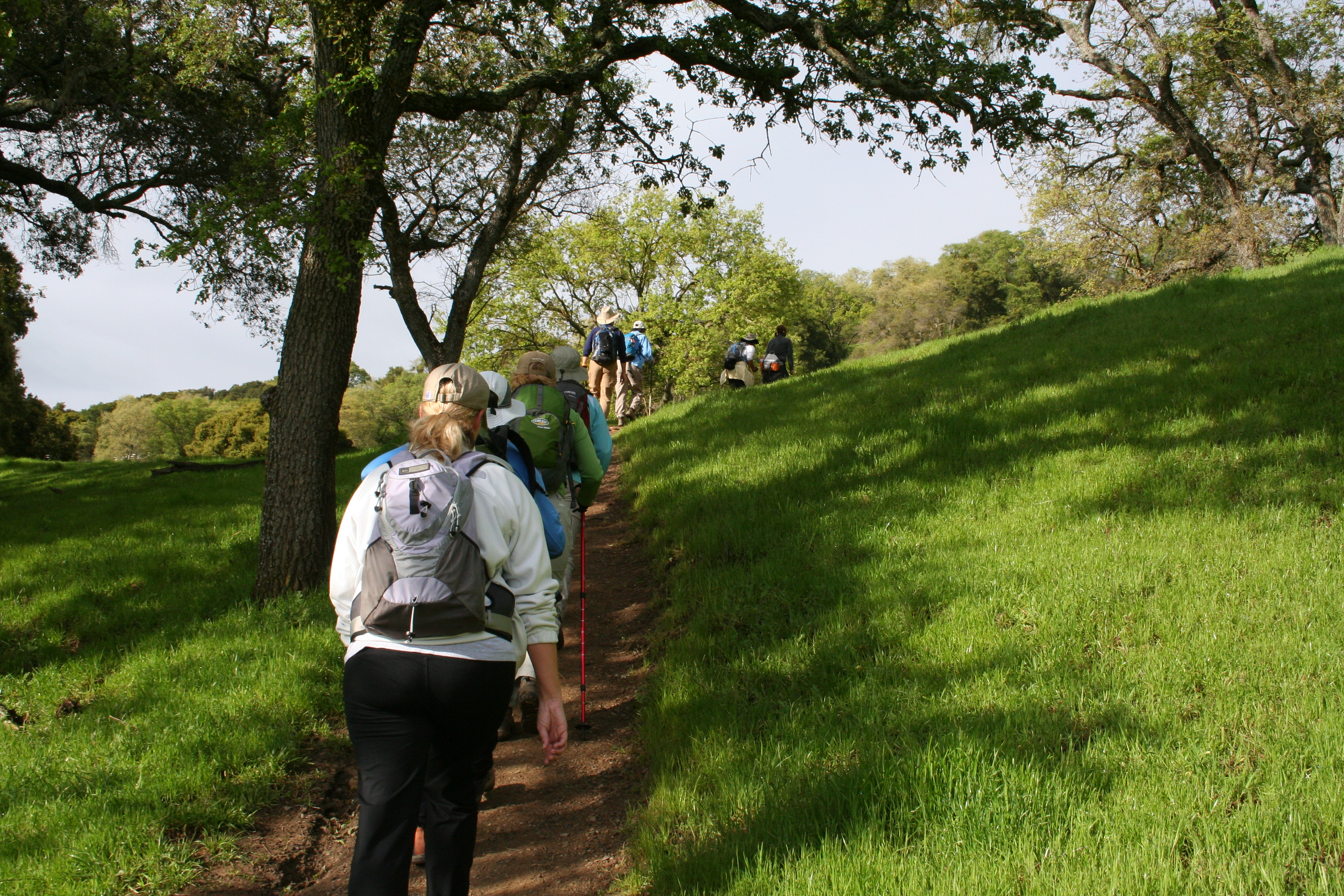Deciding on a Canyon trail