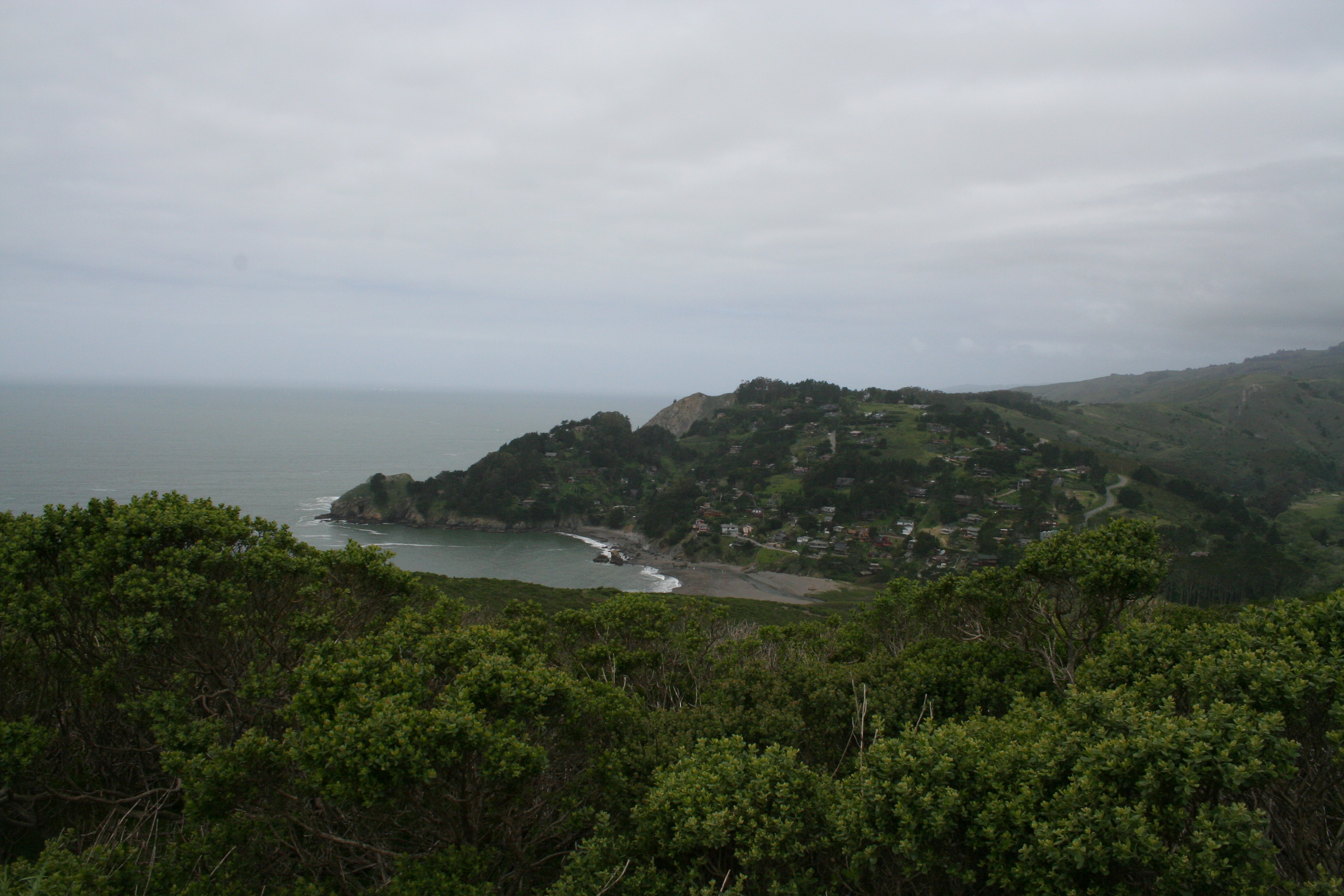 Still time to bid on art