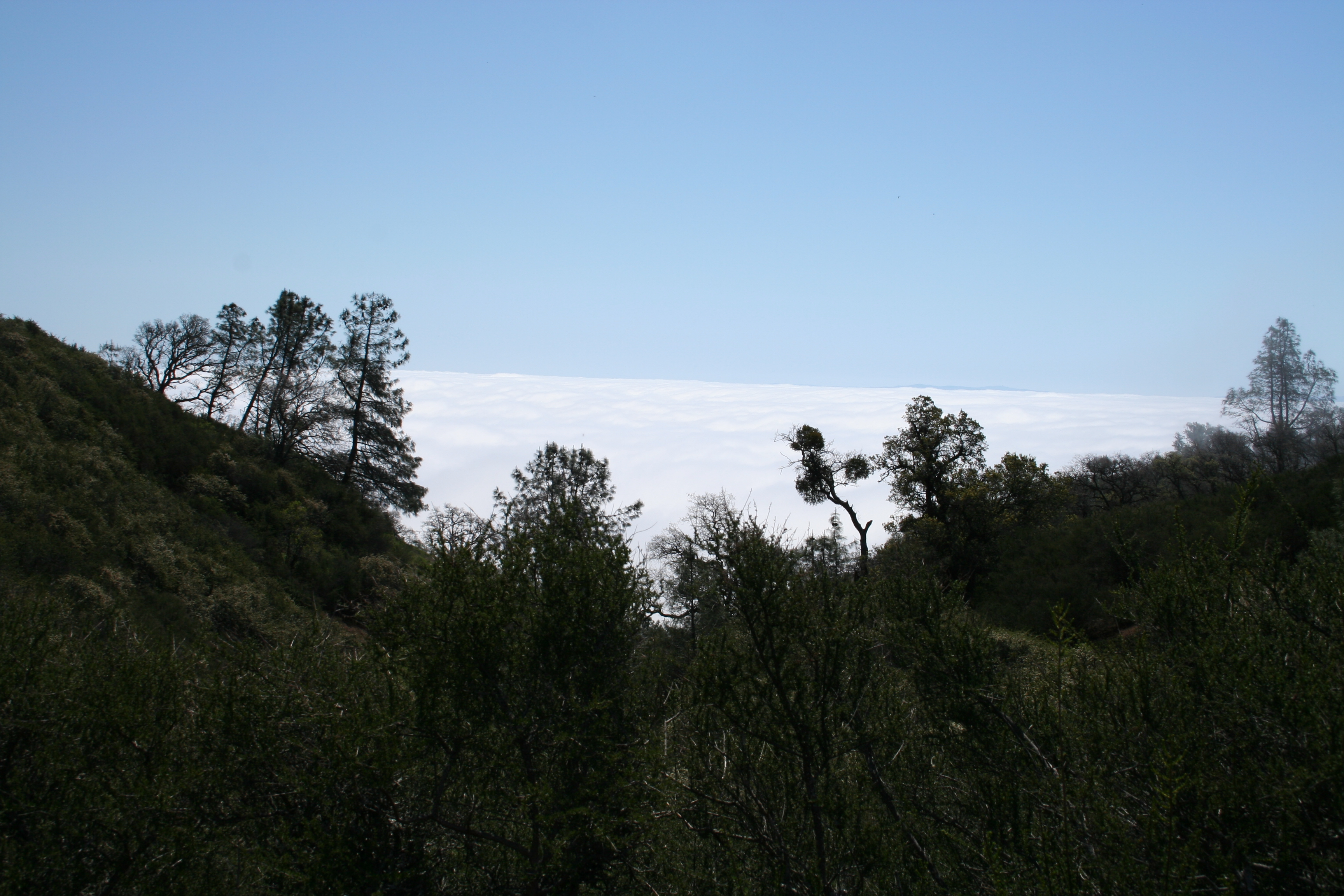 Stair Clinic – Lyon Street Stairs