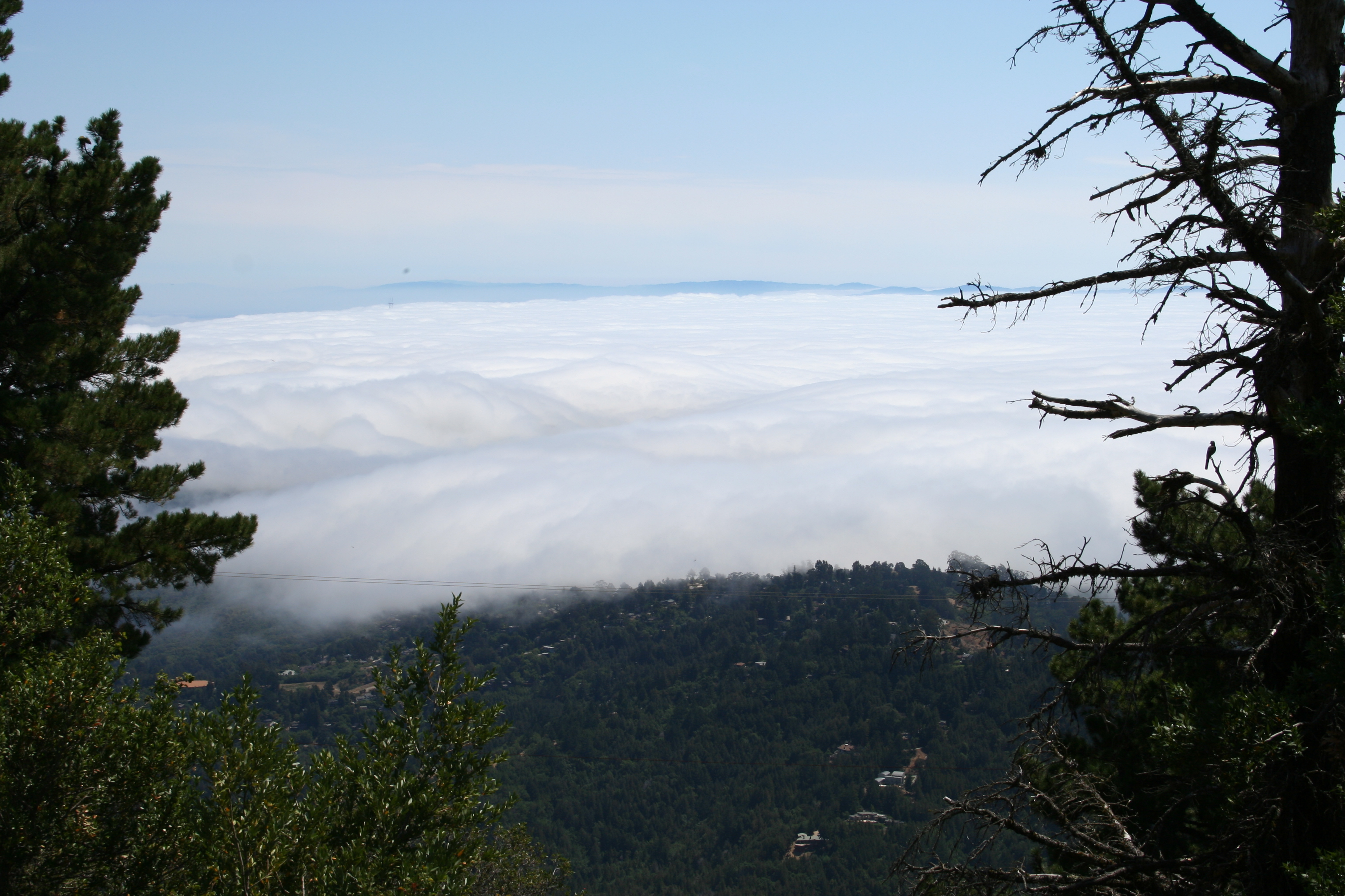 Mt. St. Helena and Marin Headlands, a quick catchup
