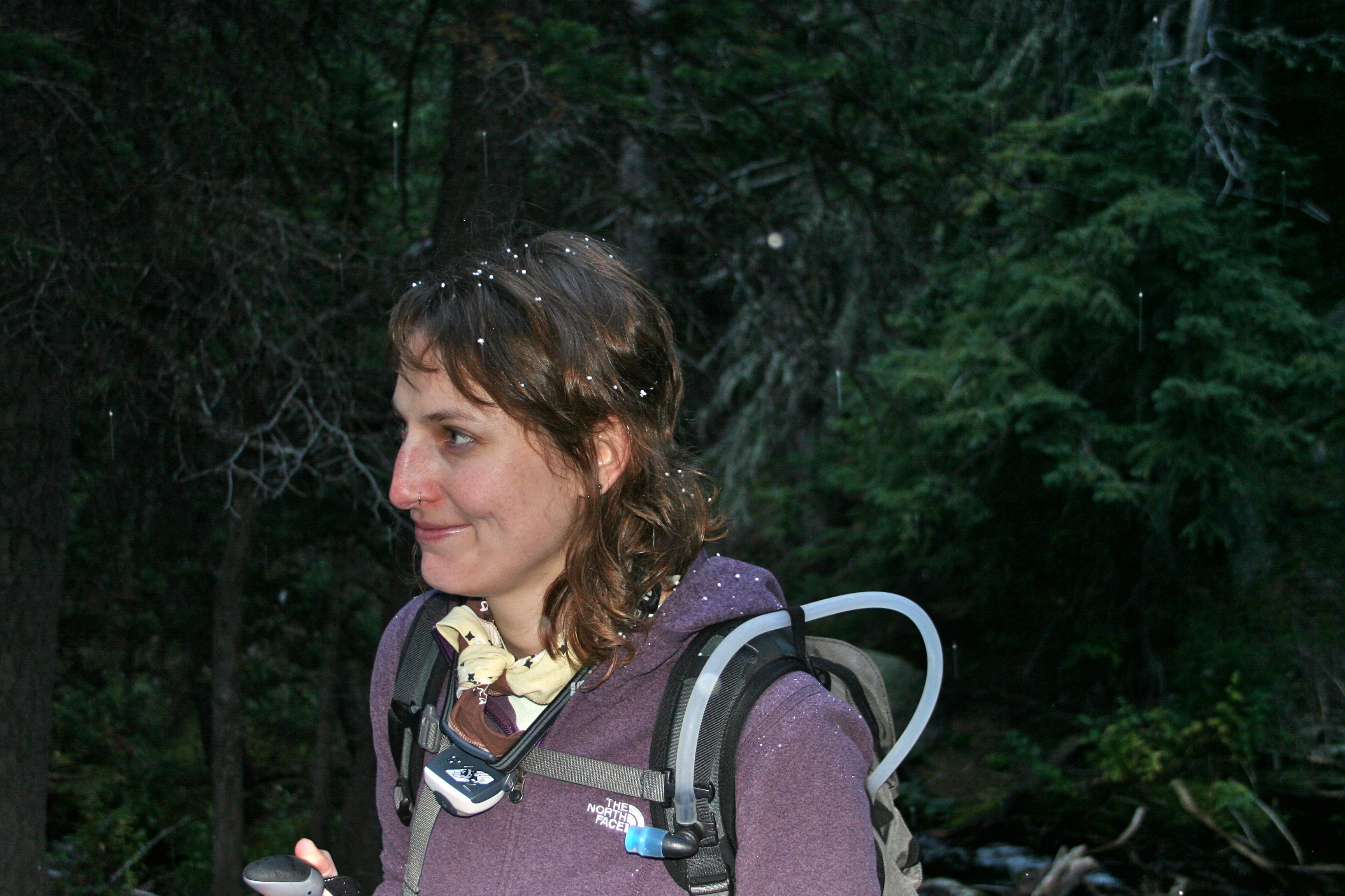 Muir Woods and Mt. Tam loop 4.5 miles – 1831 feet