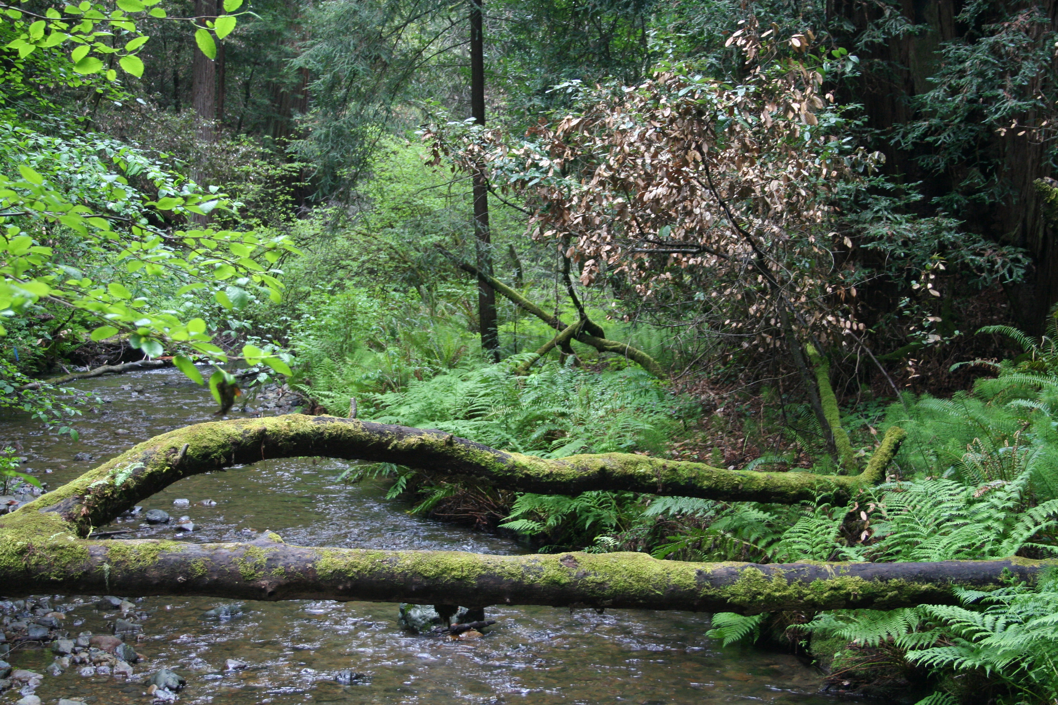 Longs Peak kicked my butt, but not my spirit