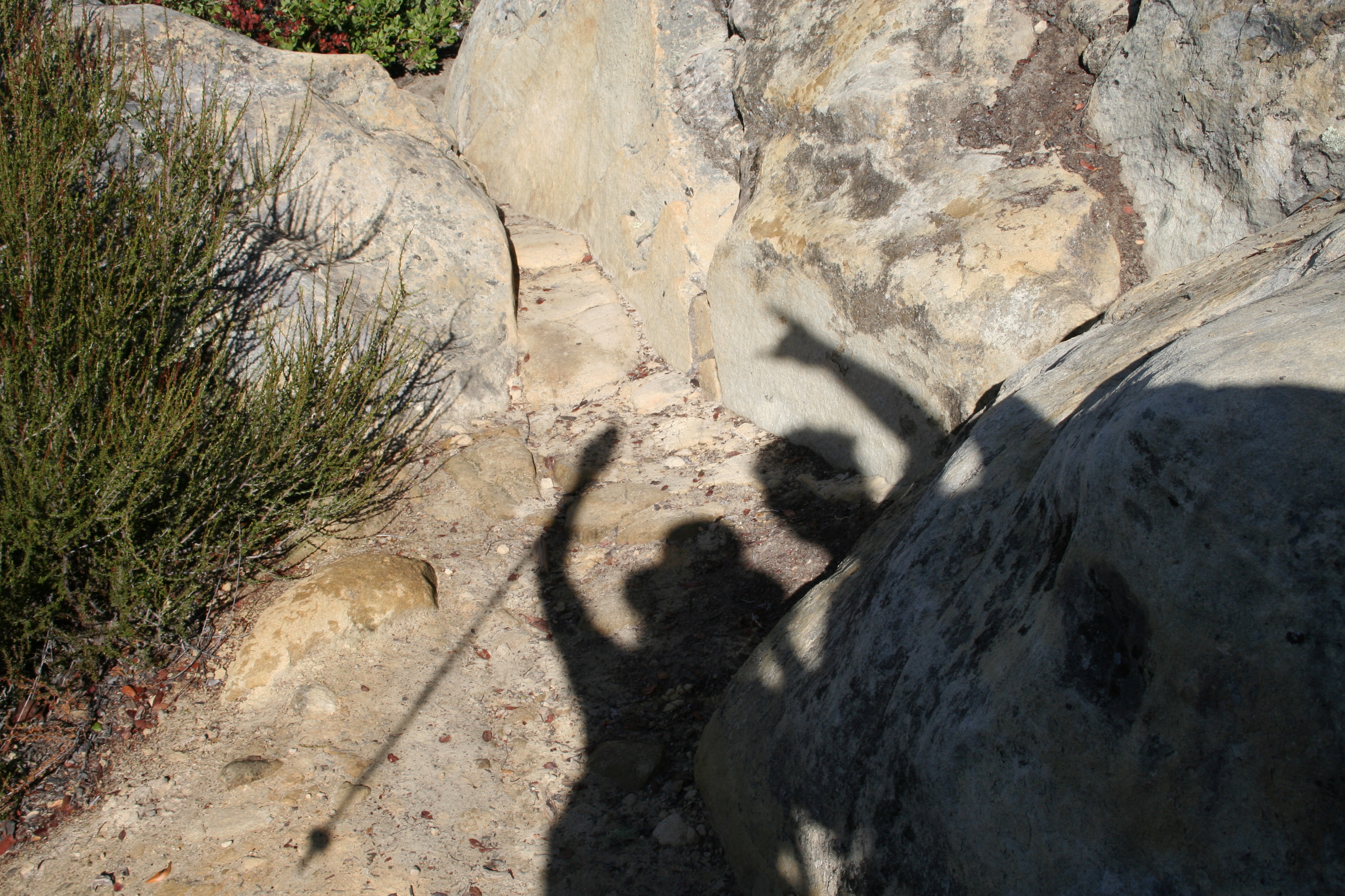 Coastal Trail: Tennessee Valley to Pelican Inn 9.7 miles – 2386 ft.