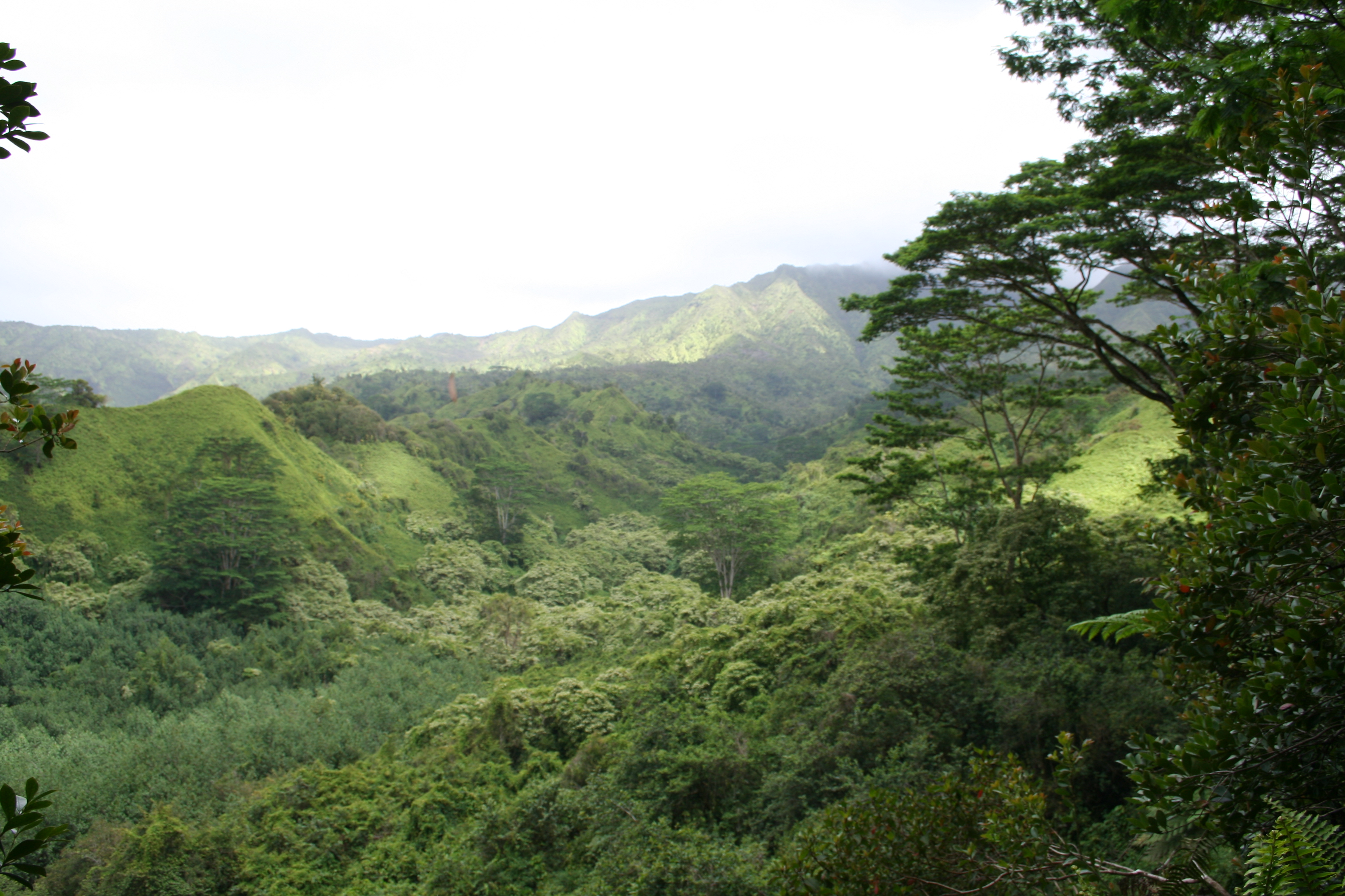 Na Pali coast to Hanakapi’ai Falls 8.2 miles – 1945 feet