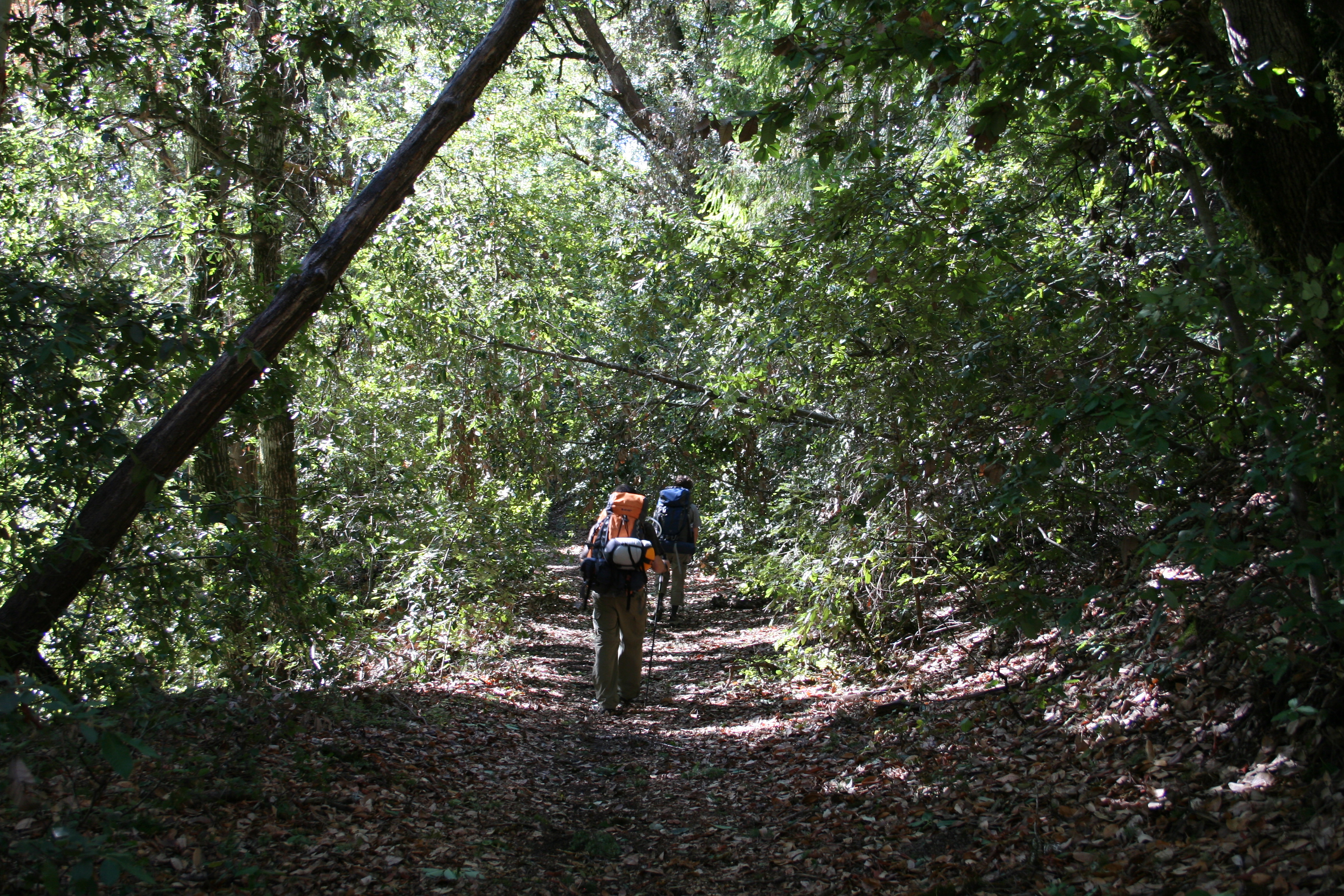 Name that photo: Where in the world is hikerly?