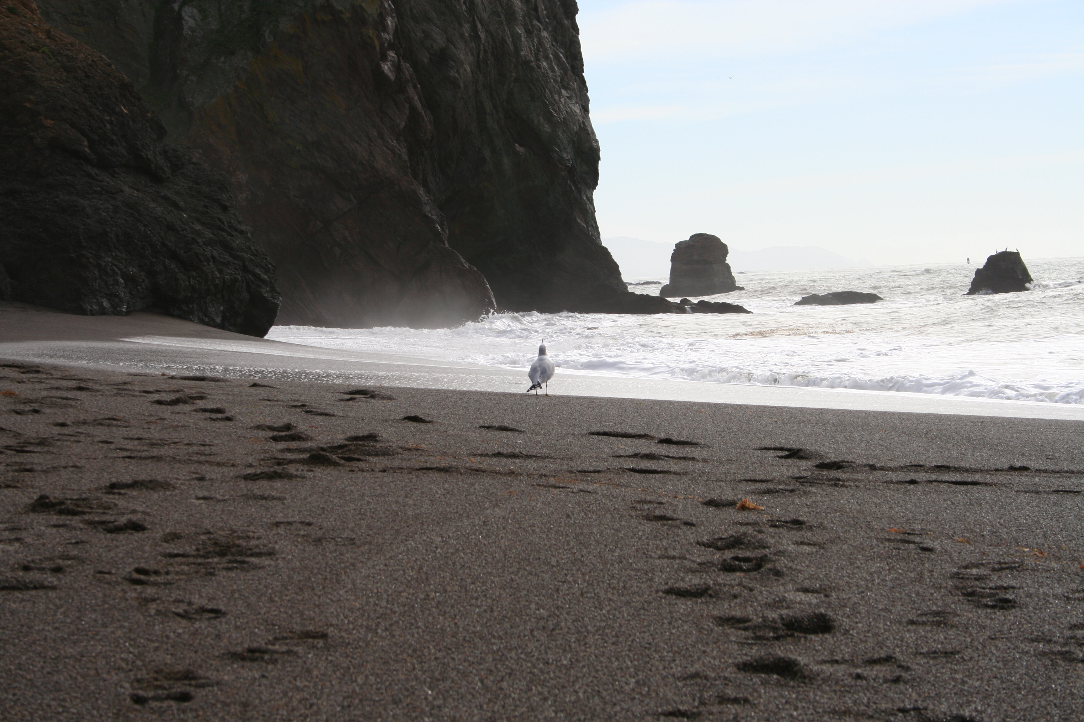 August park volunteer opportunities