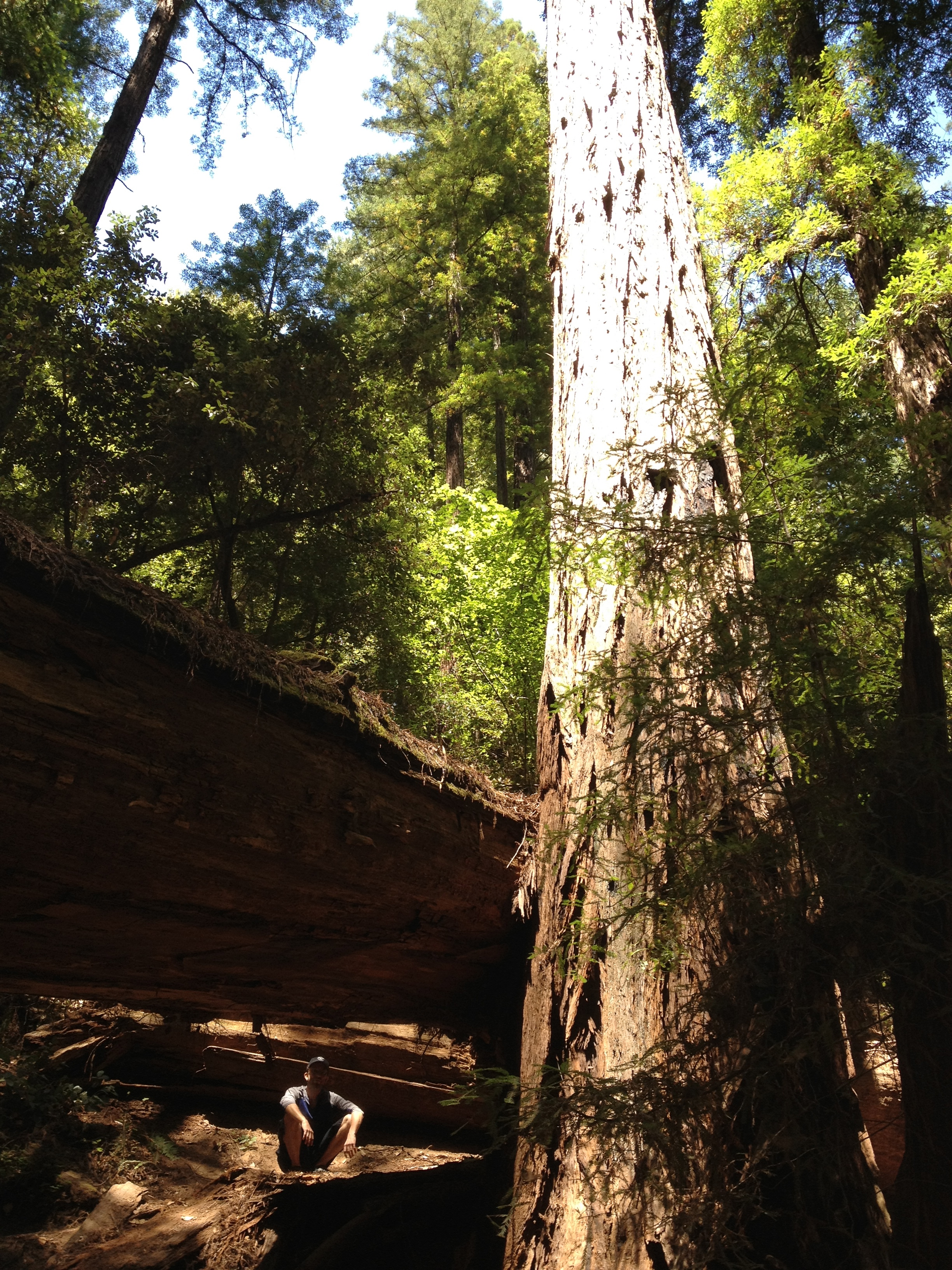 Name That Photo: Stone staircase