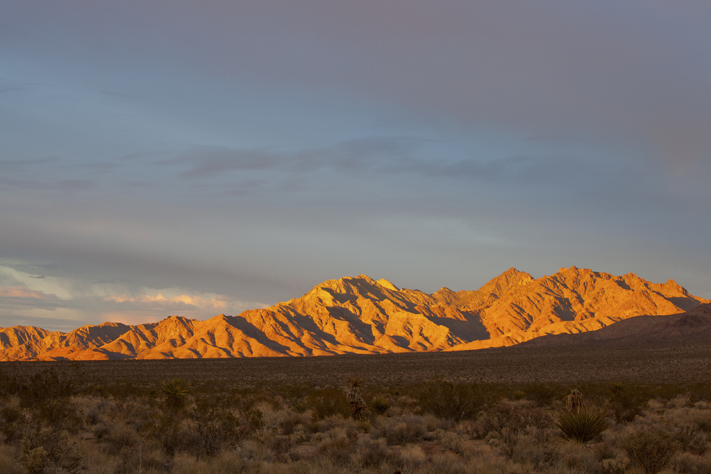 The walking dead: Only 5 parks now set to close July 1