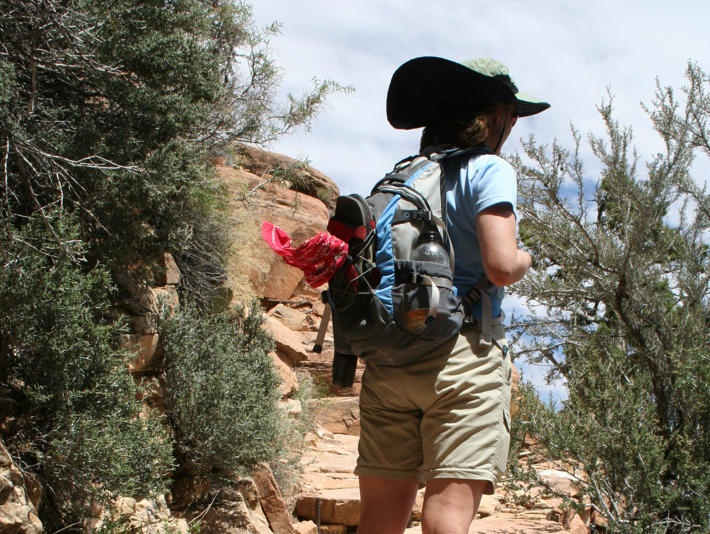 Hiking to end blood cancers with Team in Training