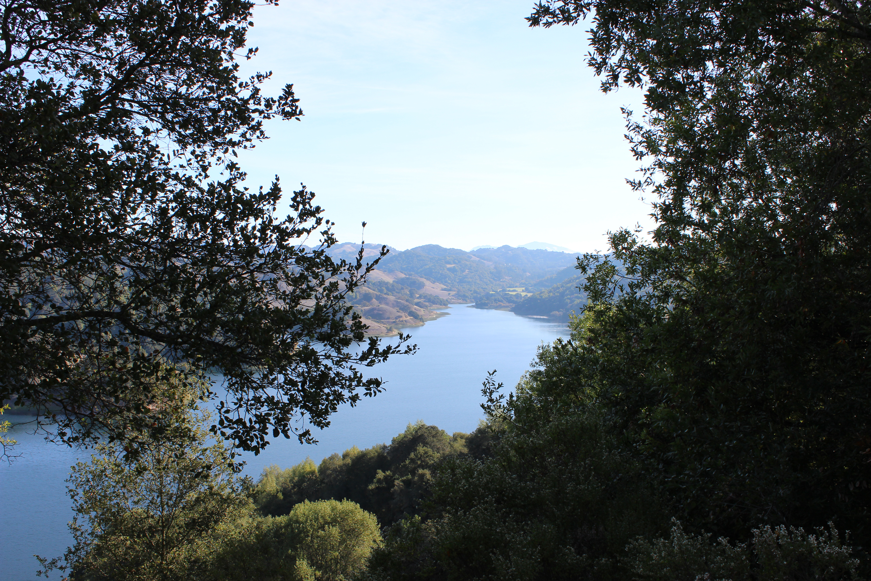 Joshua Tree: Lost Palms Oasis & Mastodon Peak 9.4 miles – 1750 feet