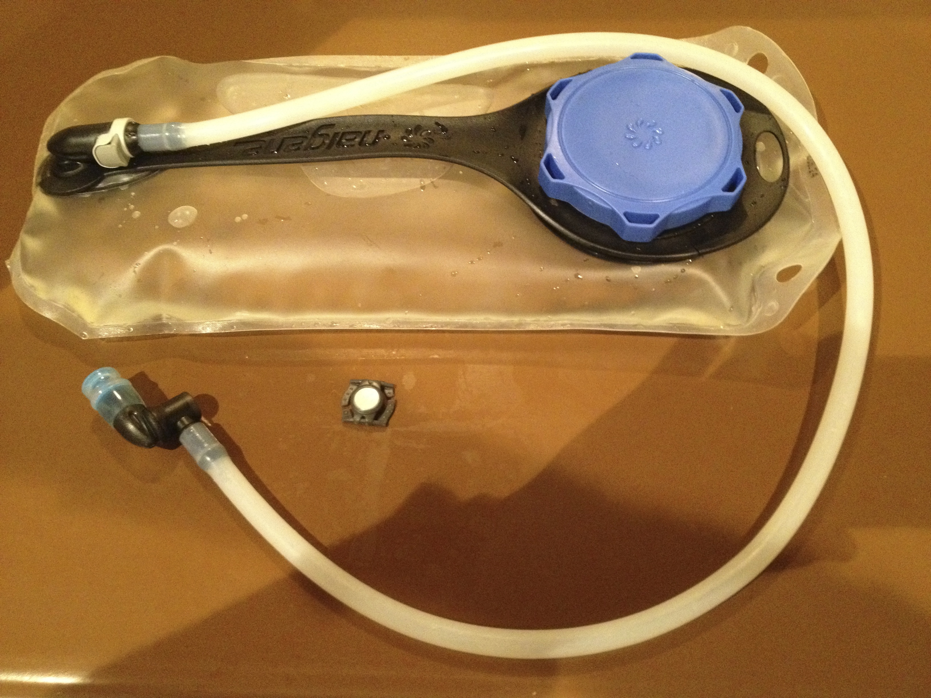 Joshua Tree: Lost Palms Oasis & Mastodon Peak 9.4 miles – 1750 feet